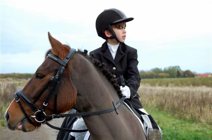 New Forest Freedom *RIP* - Rasmus og Freedoms første stævne (: (fotograf: mig) billede 15