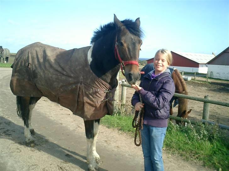Anden særlig race Zahro -min gamle helpart billede 2