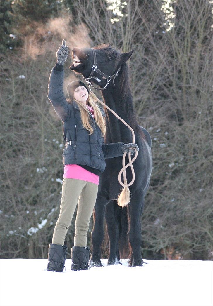 Frieser Sietse VD Molenwijk - Foto: Mor | Sidste dag <3 billede 7