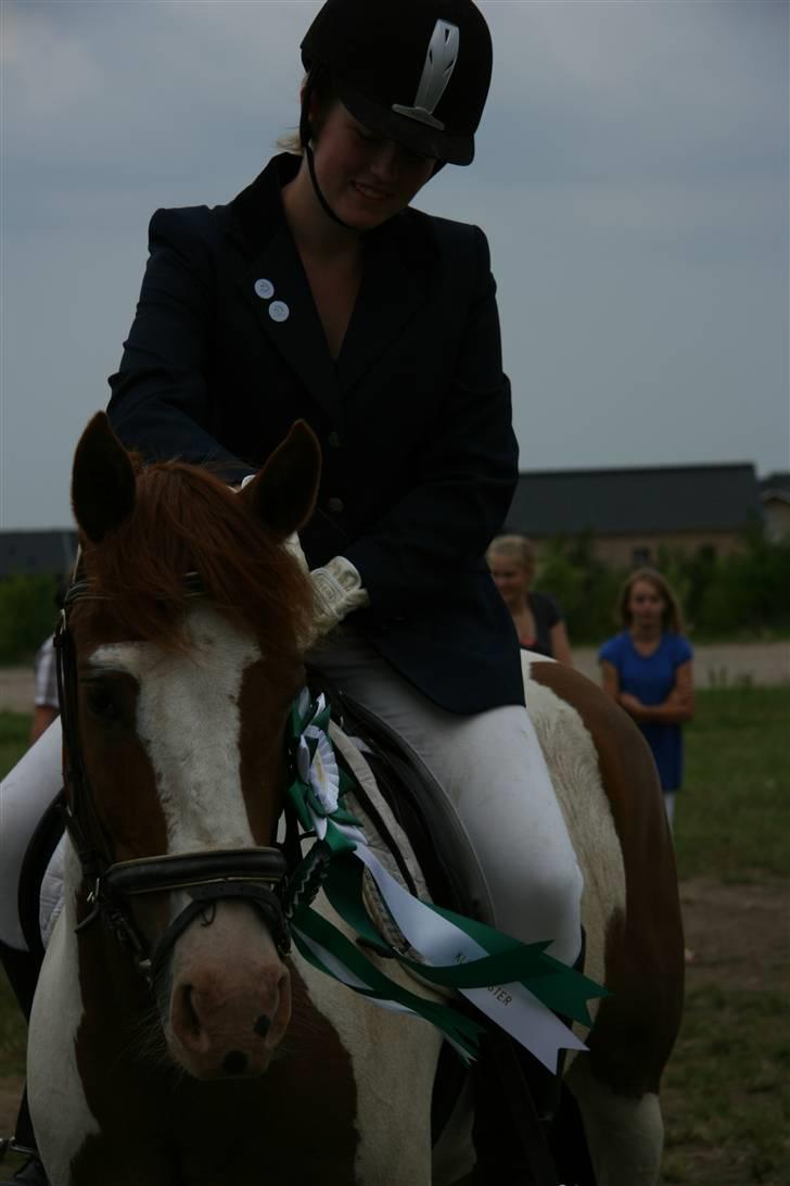 Pinto Zwier <3<3 -solgt :( - 3.plads til dressur Klubmesterskabet for pony på HDR ´09 ;D Foto: Sofie Thorgaard billede 13