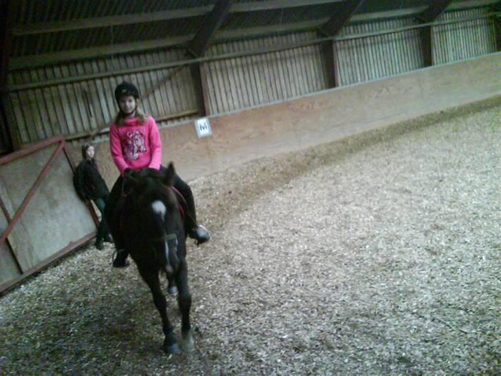 New Forest Black Pepper *elev pony* - Mig og Pepper der rider! Foto: So! billede 7