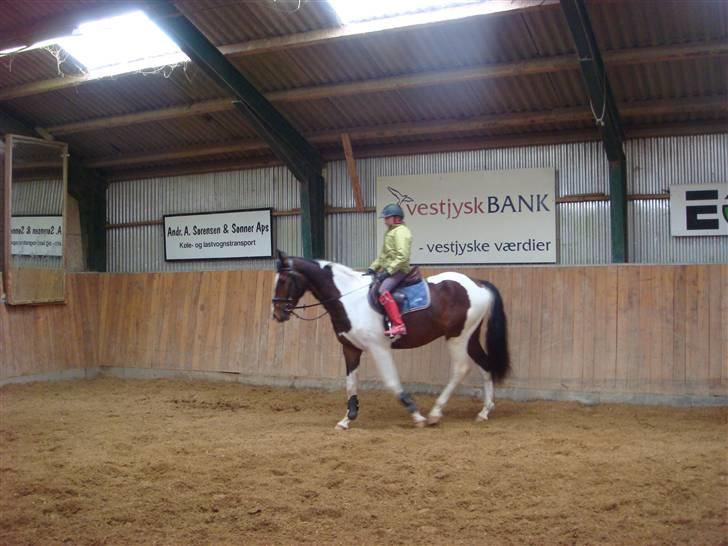 Pinto Hoelgaard´s Ferrari Enzo  - Da jeg var oppe og prøve HAM <3 billede 13