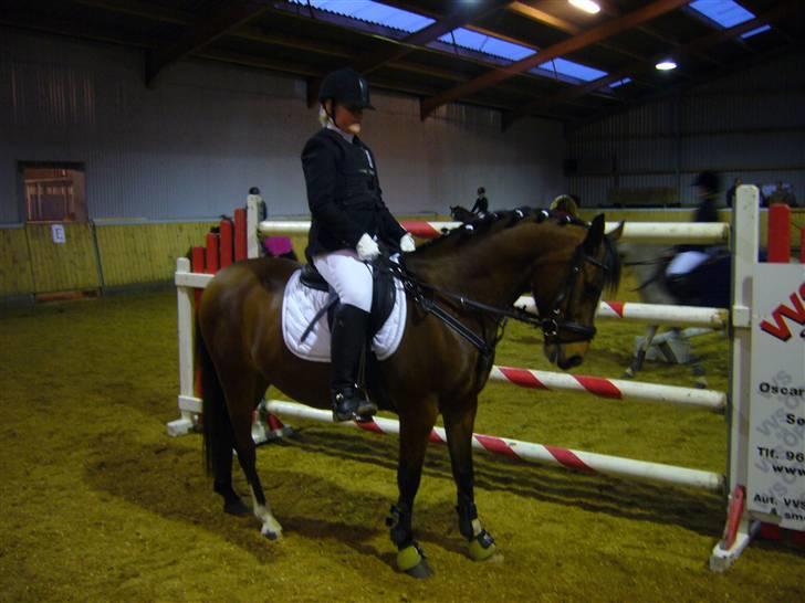 DSP zippo 'aflivet' - mig og min pony til sponsor spring billede 2