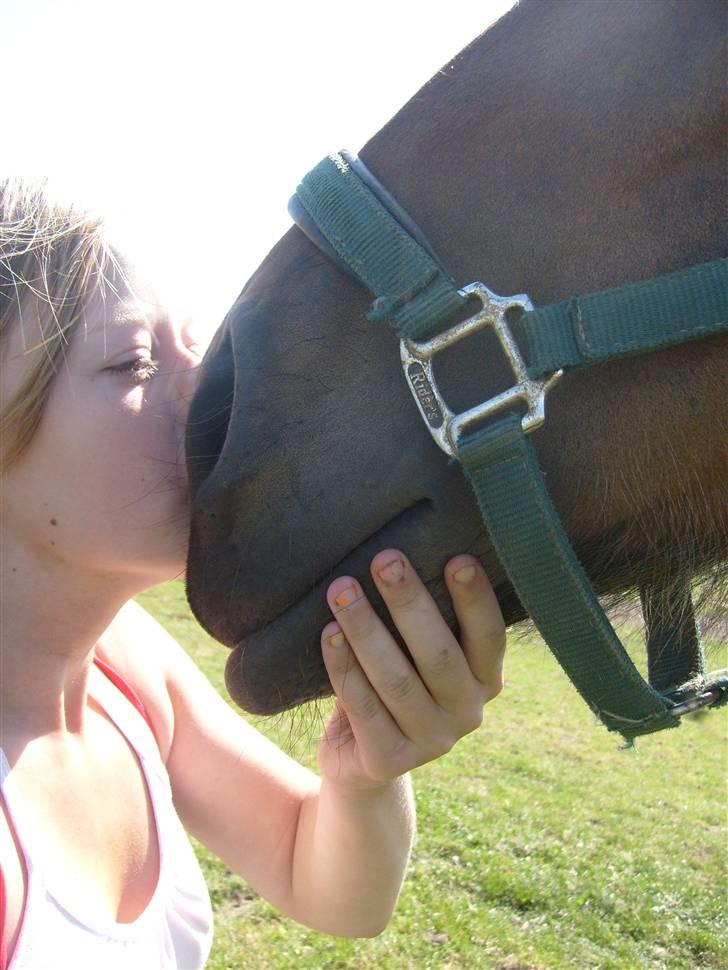 Belgier Musse *Aflivet* - .dine kys fortæller ALT! <3 billede 6