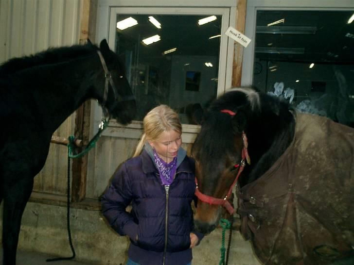 Anden særlig race Zahro -min gamle helpart billede 3