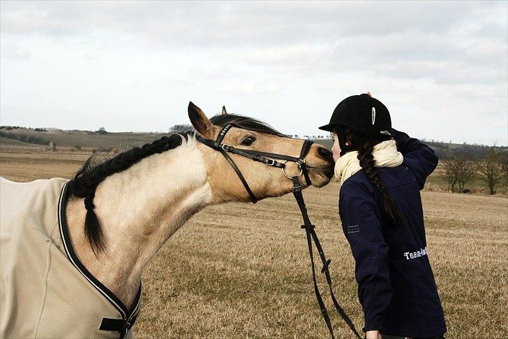 Anden særlig race Shanon B-pony - møs <3 SHP-foto billede 10