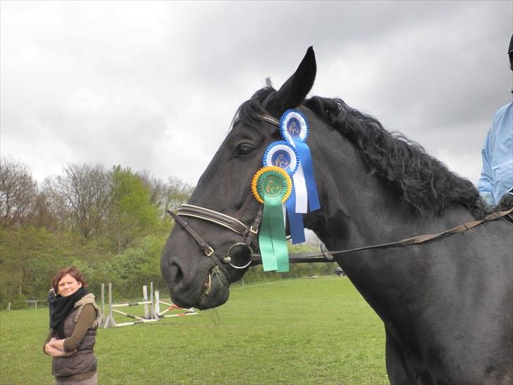 Oldenborg Sorte- PRÆMIE HESTEN!!<3 - elsker den super hest<´333 billede 1