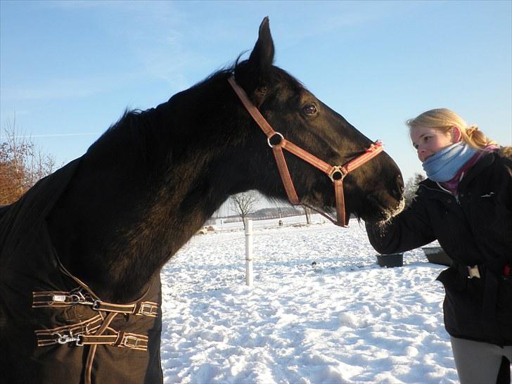 Oldenborg Sorte- PRÆMIE HESTEN!!<3 - Sorte og Frederikke hygger lidt i sneen:D billede 4