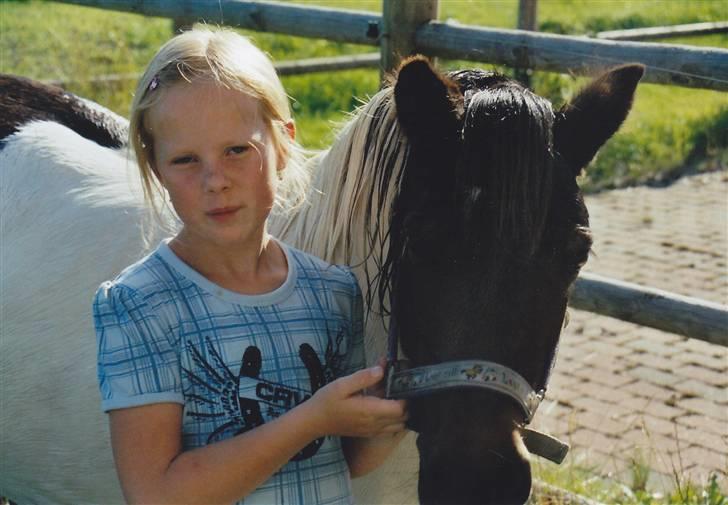 Pinto Tilde billede 19