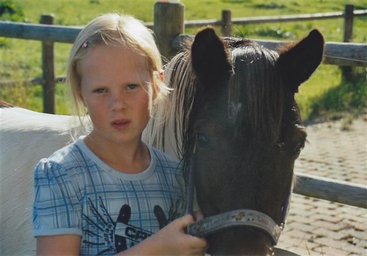 Pinto Tilde billede 20