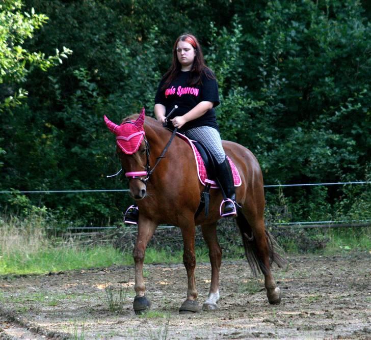 Anden særlig race Cassiopeia [ Solgt ] - Dressurundervisning torsdag d. 20. august 09 :) LÆG MÆRKE TIL MIN T-SHIRT!!! :D Foto: TM :B billede 19