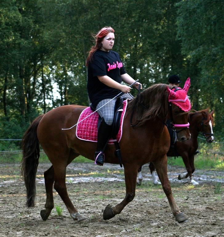 Anden særlig race Cassiopeia [ Solgt ] - Dressurundervisning torsdag d. 20. august 09 :) Med vores flotte pinke udstyr :D Foto: TM :B billede 20