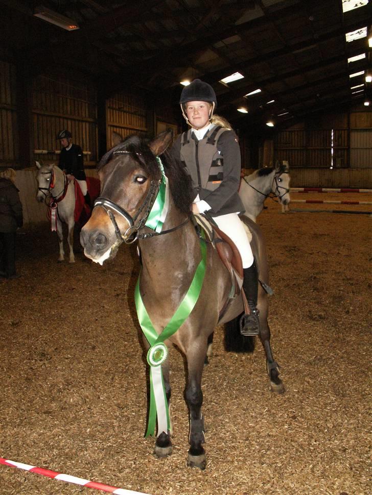 New Forest vognmandgårdens comet  - Klubmesterskaberne på HSK i spring vi blev nr.3 for kat 2 =)! billede 16