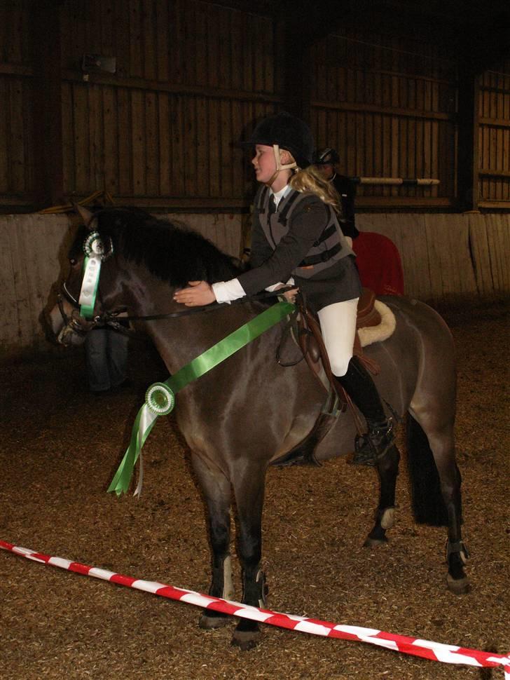 New Forest vognmandgårdens comet  - Klubmesterskaberne på HSK spring  billede 17