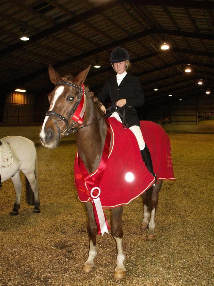 Hannoveraner Heslegårds Lullu - Klubmeaterskaberne i dressur billede 18