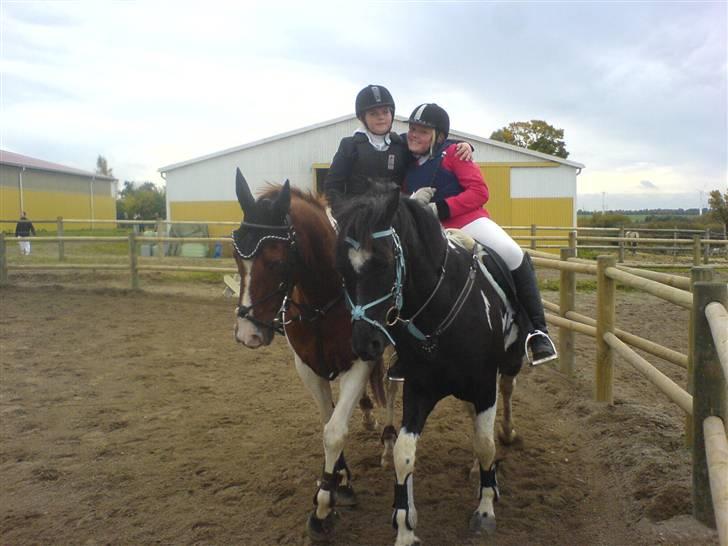 Anden særlig race Silver  billede 1