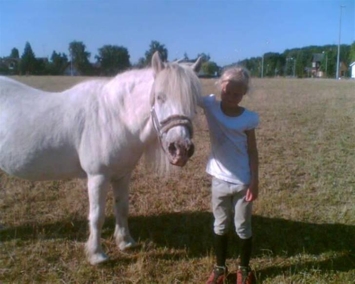 Anden særlig race Emil - R.I.P marts 2011 - på marken med Emil, da han stadig gik på sommergræs billede 16