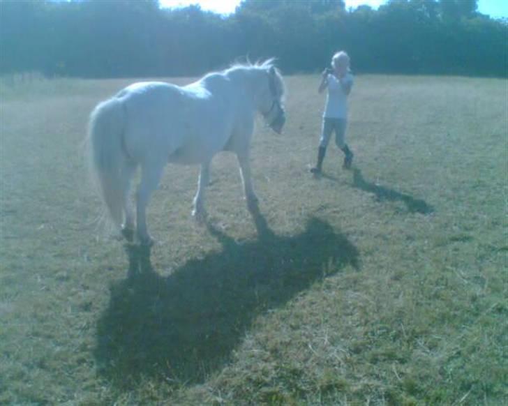 Anden særlig race Emil - R.I.P marts 2011 - stå nu stille så jeg kan tage et billed af dig :o) billede 17