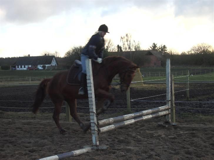 Anden særlig race Fabian - Første gang vi sprang (: billede 12