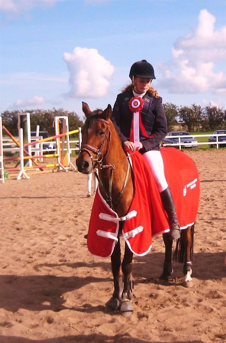 Anden særlig race Coke (Solgt) - Da vi blev Klubmestre i Spring BOR 2008. billede 1