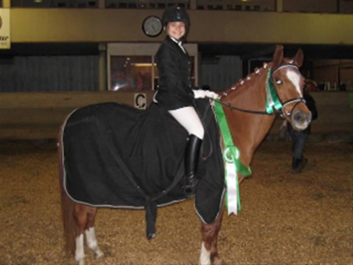 Arabisk fuldblod (OX) Flicka  - 15)Blev nr 3 til klubmesterskaberne!!! 2008 billede 14