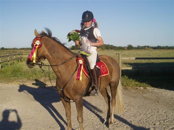 Palomino Linke *SOLGT* - Mig og Linke til Hestival i Sølrød vandt begge klasser:-) billede 1