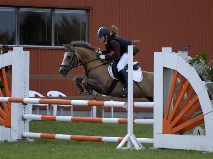 Palomino Linke *SOLGT* - Min søster og Linke springer i solrød 2007 billede 3