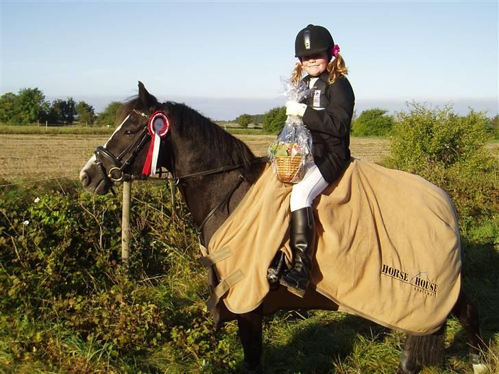 Anden særlig race Bum-Bum  *SOLGT* - wee vi vandt :D billede 19