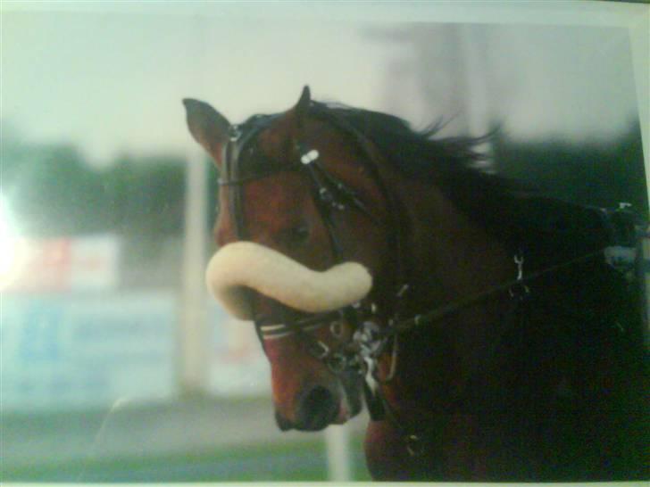 Traver Good Fellow*DØD ;-(* billede 1