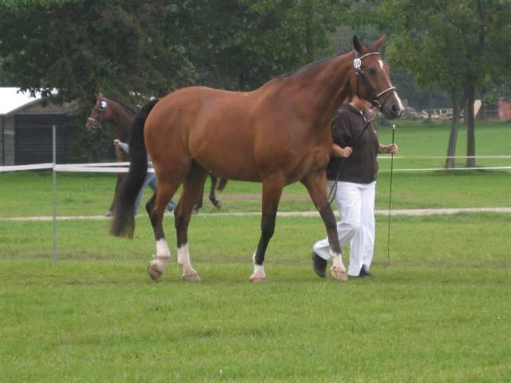 Oldenborg Martell billede 1