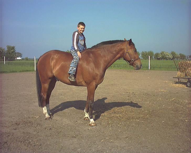 Oldenborg Martell billede 2