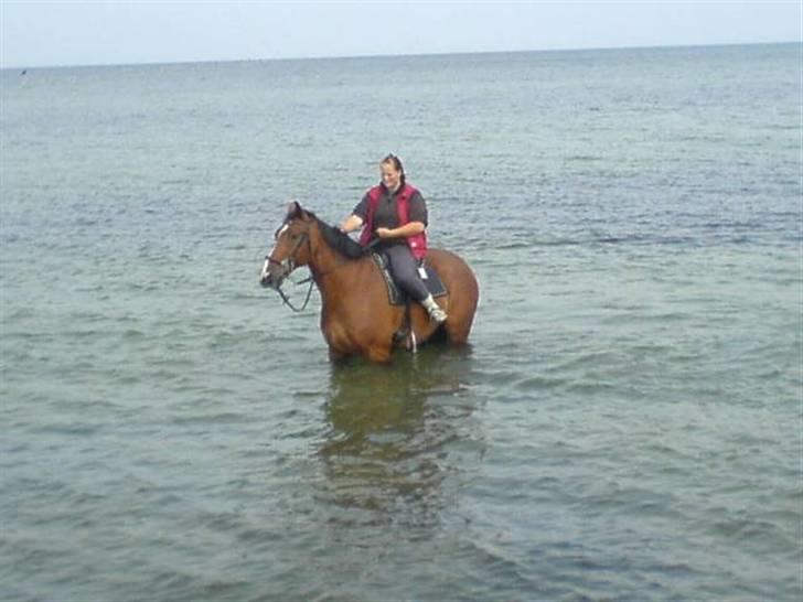 Oldenborg Martell billede 3