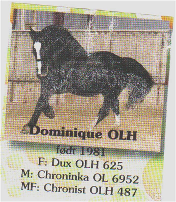 Oldenborg Martell billede 5