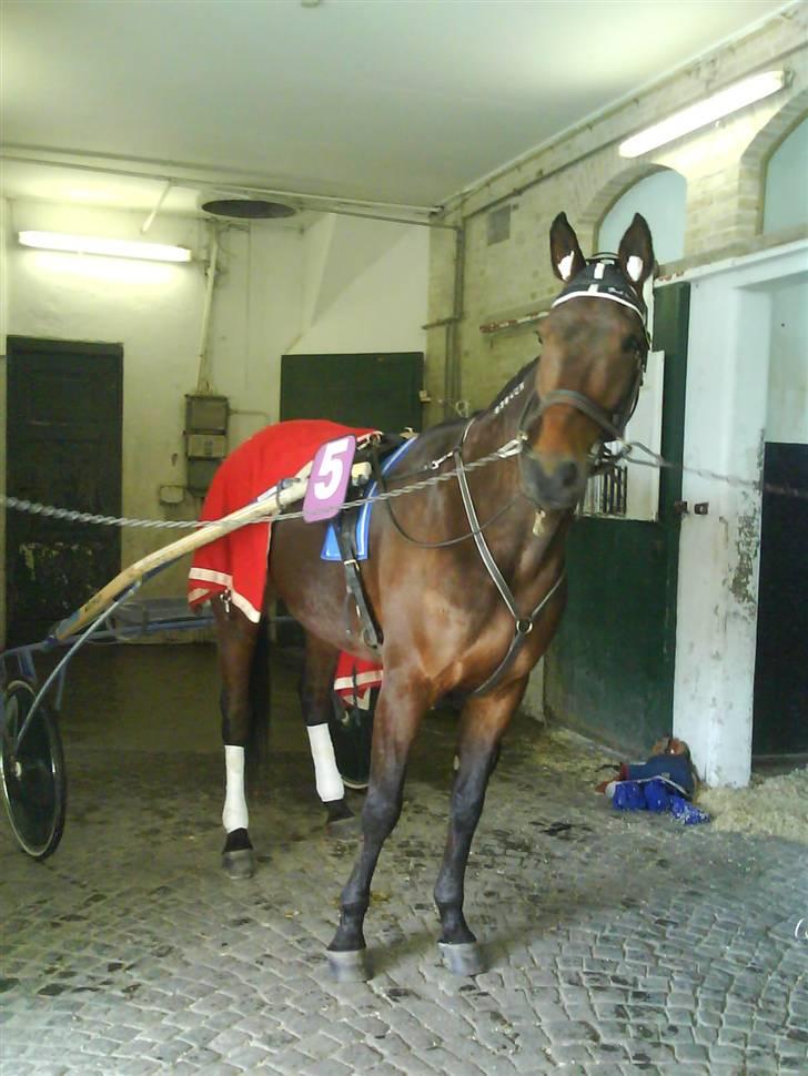 Traver Good Fellow*DØD ;-(* billede 6