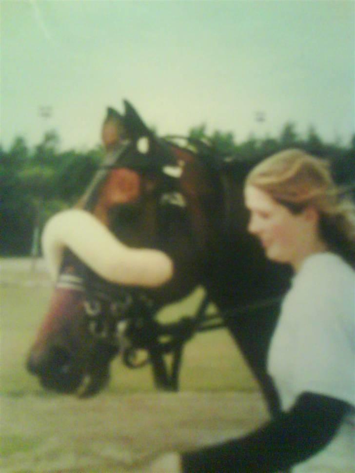 Traver Good Fellow*DØD ;-(* billede 8