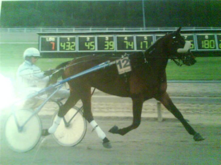 Traver Good Fellow*DØD ;-(* billede 9