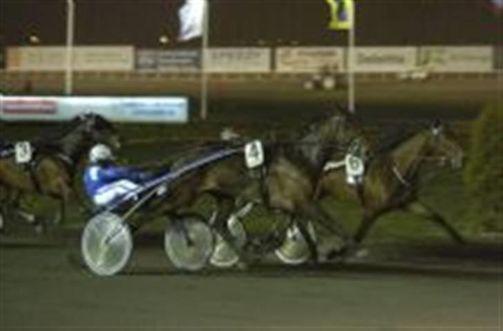 Traver Good Fellow*DØD ;-(* billede 11