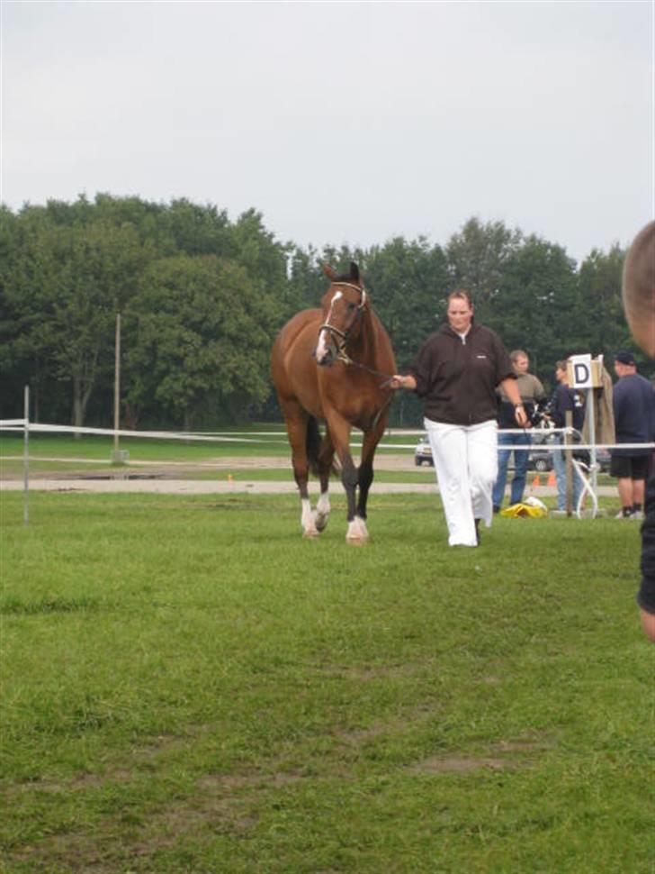 Oldenborg Martell billede 11