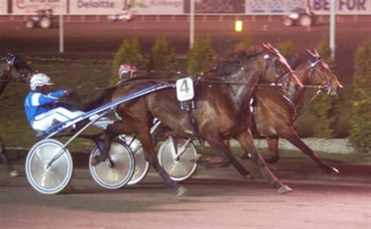 Traver Good Fellow*DØD ;-(* billede 13