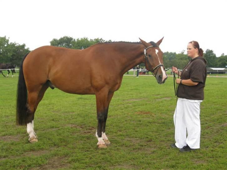 Oldenborg Martell billede 12