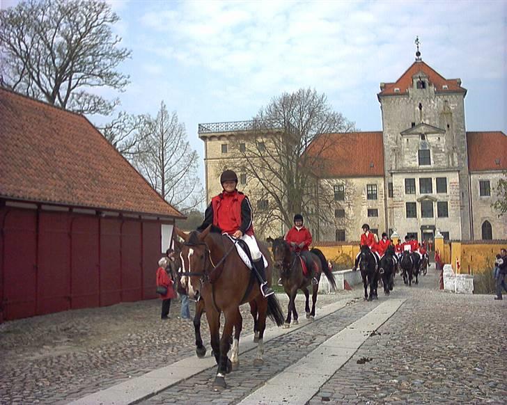 Oldenborg Martell billede 16