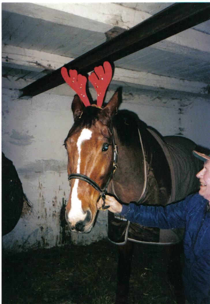 Oldenborg Martell billede 17