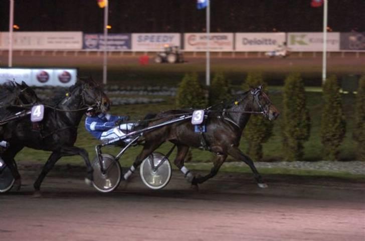 Traver Good Fellow*DØD ;-(* billede 14