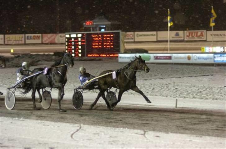 Traver Good Fellow*DØD ;-(* billede 16