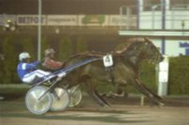 Traver Good Fellow*DØD ;-(* billede 17