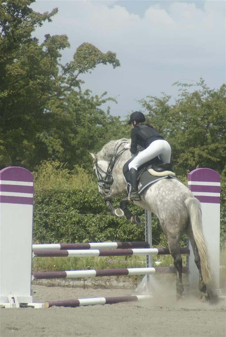 Anden særlig race | Chello Højgård | - Det er jo ikke for sjov at han har Carano som far ;-) <3 billede 6