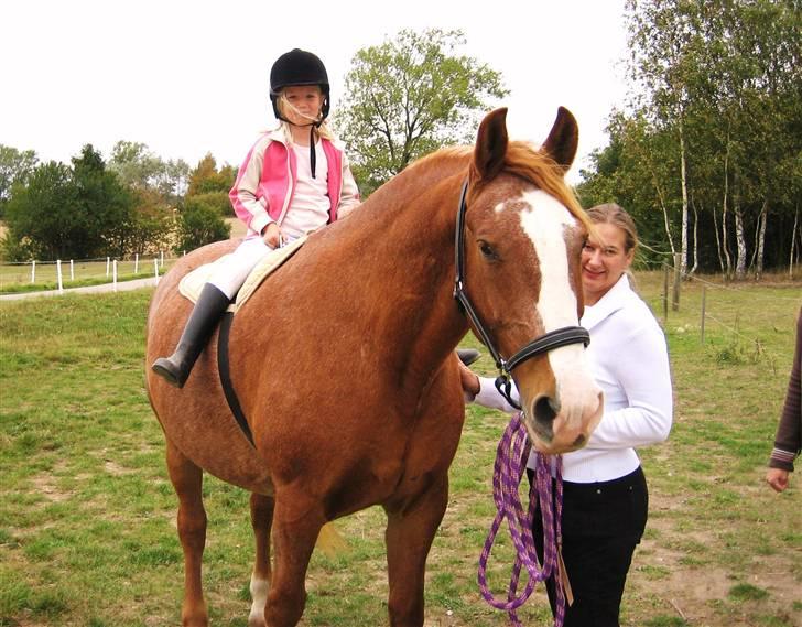 Frederiksborg Mads (rip) billede 4