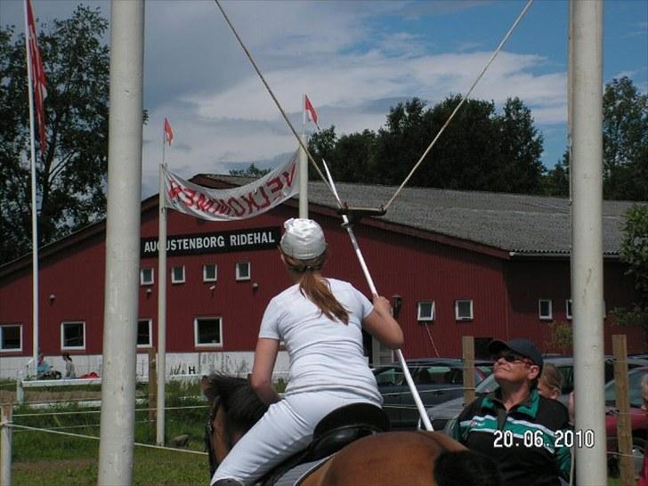 Anden særlig race Jarco   (SOLGT) - jarco og mig til augustenborg ringridning<3 vi var gode billede 4