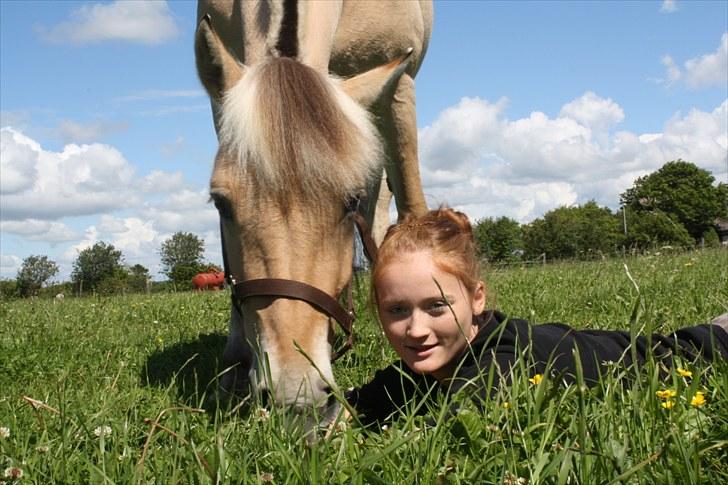 Fjordhest Faldborgs Sofie  - Fie og jeg!:) - foto julie lund billede 10