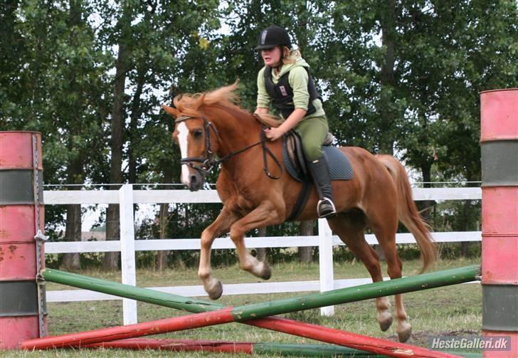 Anden særlig race O'malley | *! SOLGT:'( !* - Velkommen til O´malleys profil ;D Billed Lone billede 1